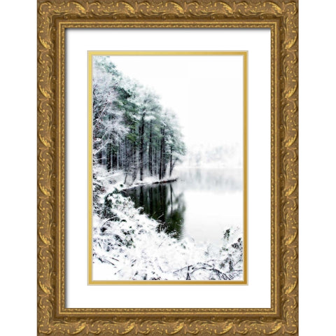 Shelly Lake in Winter II Gold Ornate Wood Framed Art Print with Double Matting by Hausenflock, Alan