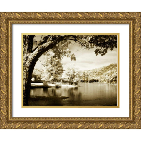 Mountain Lake II Gold Ornate Wood Framed Art Print with Double Matting by Hausenflock, Alan