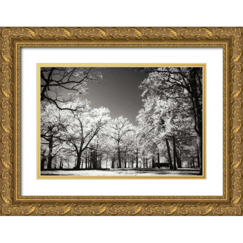 Bright Spring Day I Gold Ornate Wood Framed Art Print with Double Matting by Hausenflock, Alan