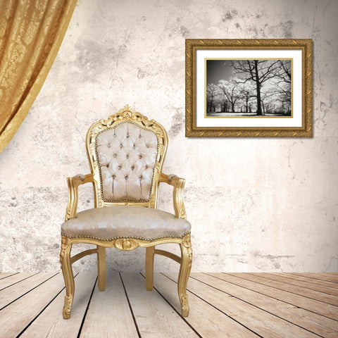 Bright Spring Day II Gold Ornate Wood Framed Art Print with Double Matting by Hausenflock, Alan