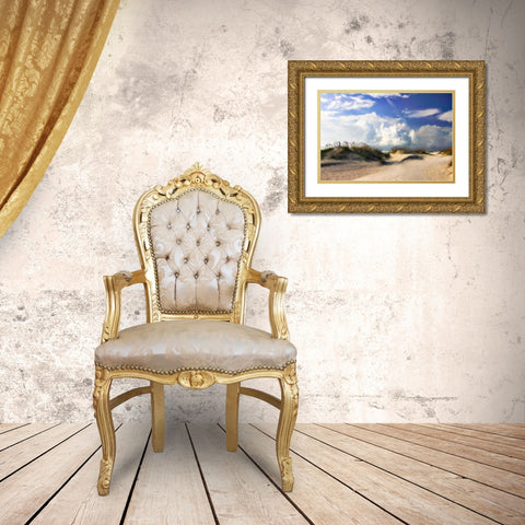 Summer Dunes I Gold Ornate Wood Framed Art Print with Double Matting by Hausenflock, Alan
