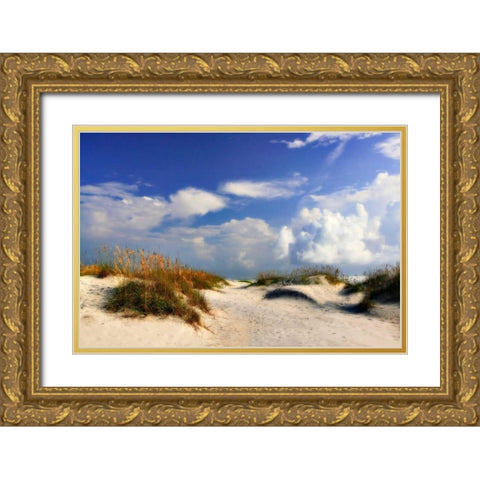 Summer Dunes II Gold Ornate Wood Framed Art Print with Double Matting by Hausenflock, Alan