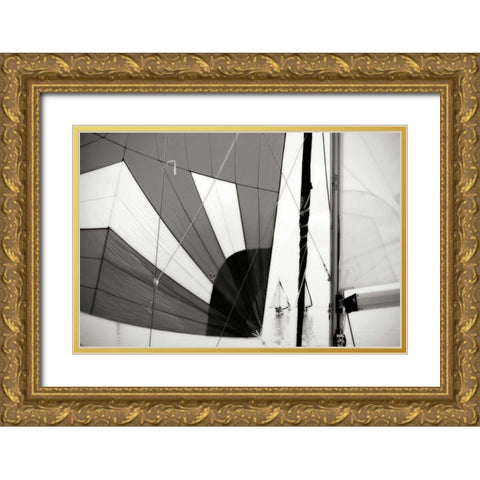 Downwind I Gold Ornate Wood Framed Art Print with Double Matting by Hausenflock, Alan