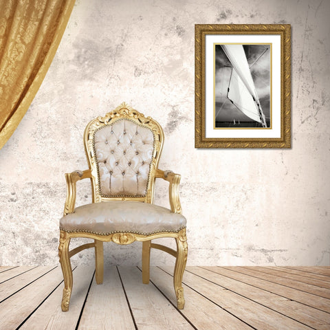 Close Hauled II Gold Ornate Wood Framed Art Print with Double Matting by Hausenflock, Alan