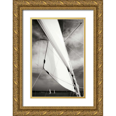 Close Hauled II Gold Ornate Wood Framed Art Print with Double Matting by Hausenflock, Alan