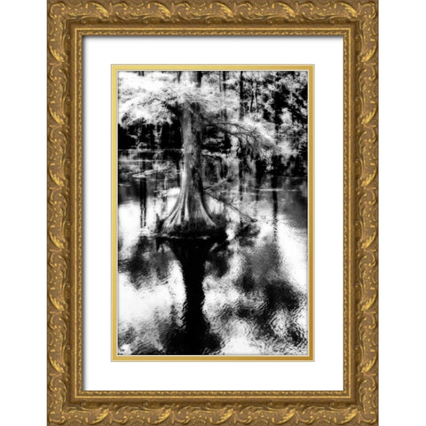 Trenton Cyprus II Gold Ornate Wood Framed Art Print with Double Matting by Hausenflock, Alan