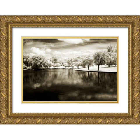 Bryan Park II Gold Ornate Wood Framed Art Print with Double Matting by Hausenflock, Alan