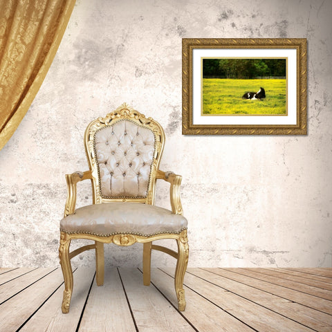 Black Pinto I Gold Ornate Wood Framed Art Print with Double Matting by Hausenflock, Alan