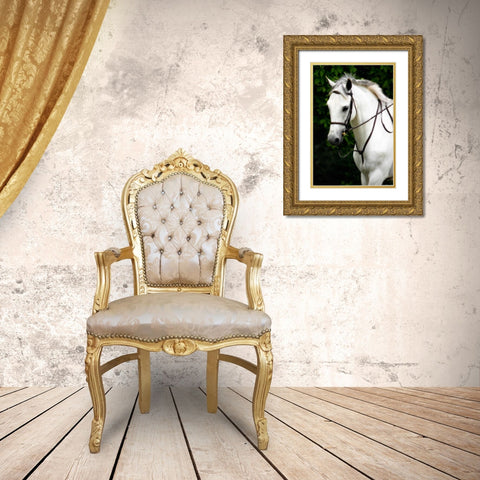 Phantom I Gold Ornate Wood Framed Art Print with Double Matting by Hausenflock, Alan