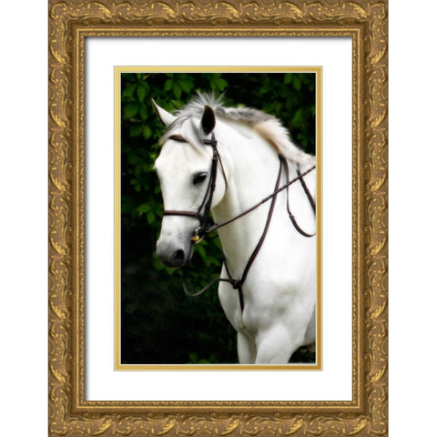 Phantom I Gold Ornate Wood Framed Art Print with Double Matting by Hausenflock, Alan