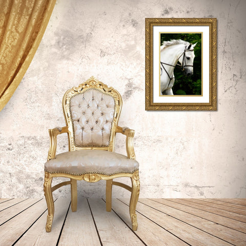 Phantom II Gold Ornate Wood Framed Art Print with Double Matting by Hausenflock, Alan