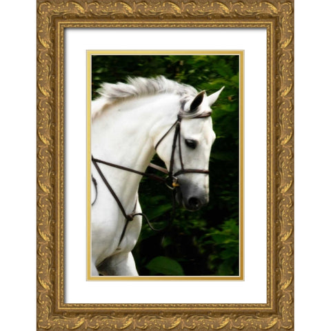 Phantom II Gold Ornate Wood Framed Art Print with Double Matting by Hausenflock, Alan