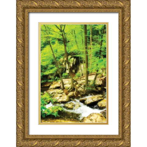 White Oak River II Gold Ornate Wood Framed Art Print with Double Matting by Hausenflock, Alan