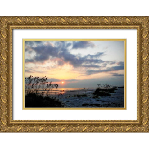 Masonboro Inlet II Gold Ornate Wood Framed Art Print with Double Matting by Hausenflock, Alan