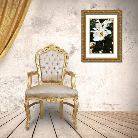 Fragrant Flower II Gold Ornate Wood Framed Art Print with Double Matting by Hausenflock, Alan