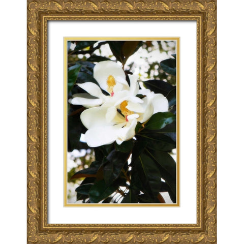 Fragrant Flower II Gold Ornate Wood Framed Art Print with Double Matting by Hausenflock, Alan