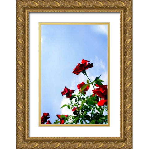 Sunlit Roses Gold Ornate Wood Framed Art Print with Double Matting by Hausenflock, Alan