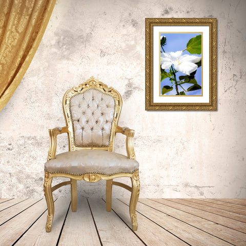 Hibiscus I Gold Ornate Wood Framed Art Print with Double Matting by Hausenflock, Alan