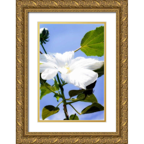 Hibiscus I Gold Ornate Wood Framed Art Print with Double Matting by Hausenflock, Alan