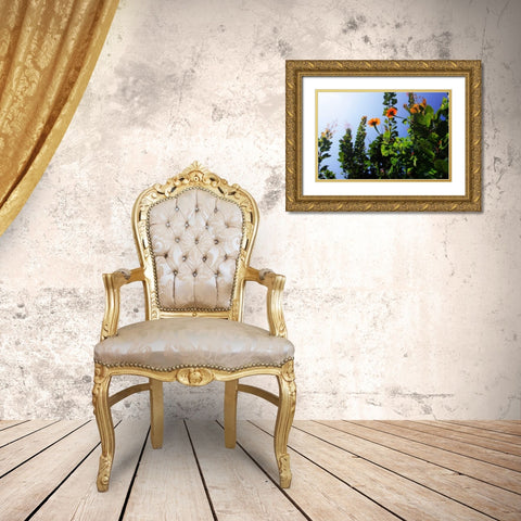 Summer Garden I Gold Ornate Wood Framed Art Print with Double Matting by Hausenflock, Alan