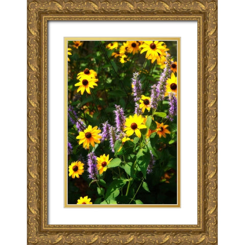 Summer Glory I Gold Ornate Wood Framed Art Print with Double Matting by Hausenflock, Alan