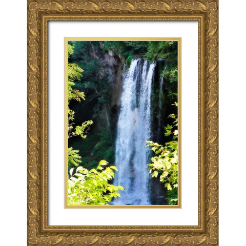 Falling Springs I Gold Ornate Wood Framed Art Print with Double Matting by Hausenflock, Alan