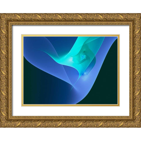 Diffusion Gold Ornate Wood Framed Art Print with Double Matting by Hausenflock, Alan