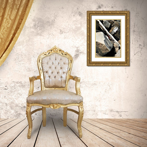 Rocks and Wood II Gold Ornate Wood Framed Art Print with Double Matting by Hausenflock, Alan