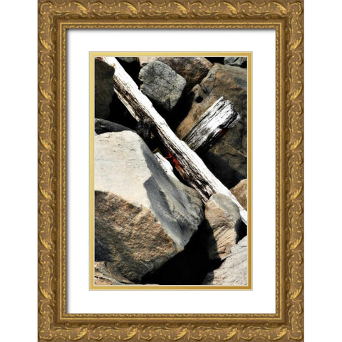 Rocks and Wood II Gold Ornate Wood Framed Art Print with Double Matting by Hausenflock, Alan