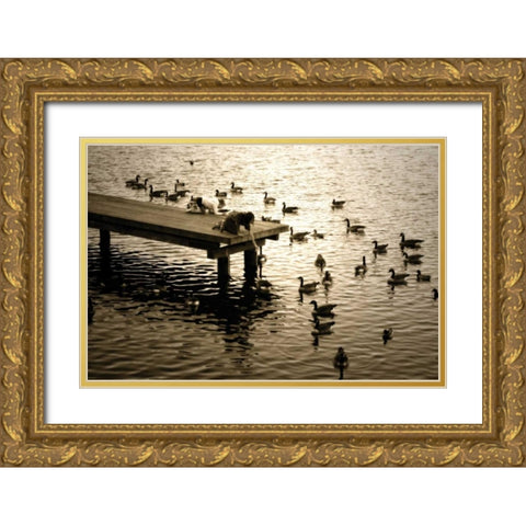 Feeding the Geese II Gold Ornate Wood Framed Art Print with Double Matting by Hausenflock, Alan