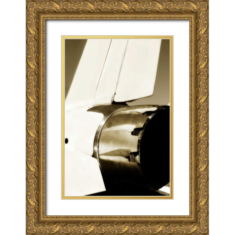 Tomcat I Gold Ornate Wood Framed Art Print with Double Matting by Hausenflock, Alan