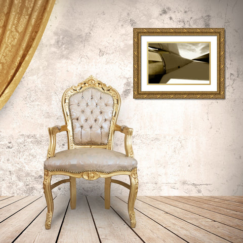 Tomcat III Gold Ornate Wood Framed Art Print with Double Matting by Hausenflock, Alan