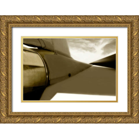 Tomcat III Gold Ornate Wood Framed Art Print with Double Matting by Hausenflock, Alan