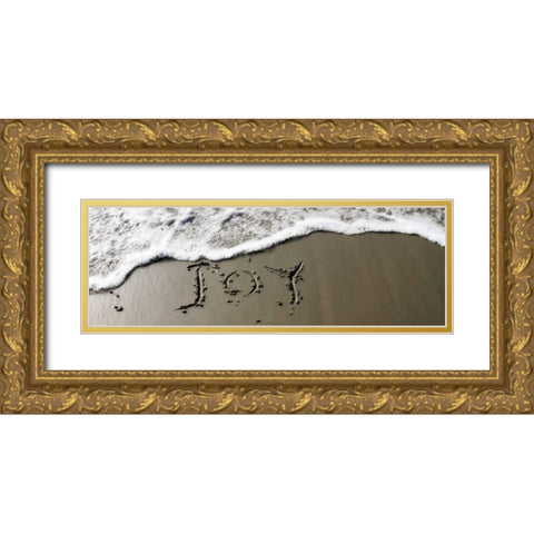 Joy Gold Ornate Wood Framed Art Print with Double Matting by Hausenflock, Alan