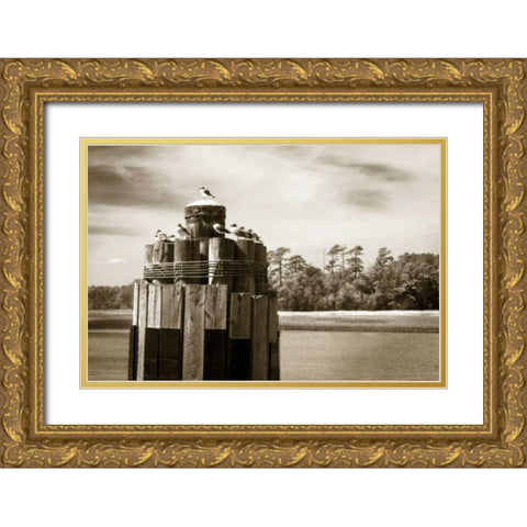 Pamlico Gulls I Gold Ornate Wood Framed Art Print with Double Matting by Hausenflock, Alan