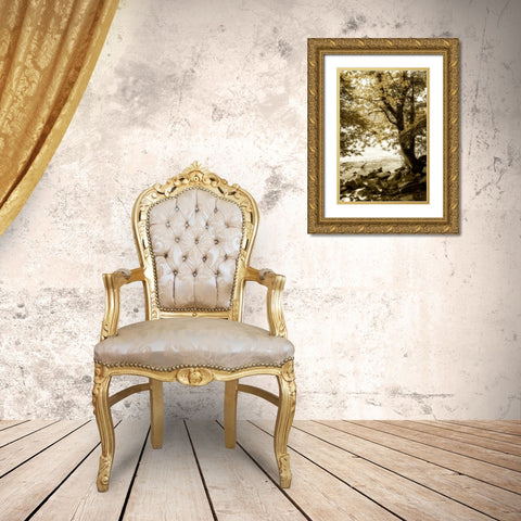 By the River Wide I Gold Ornate Wood Framed Art Print with Double Matting by Hausenflock, Alan