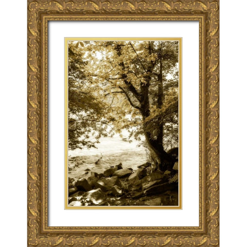 By the River Wide I Gold Ornate Wood Framed Art Print with Double Matting by Hausenflock, Alan