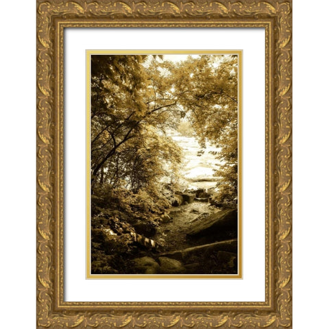 By the River Wide II Gold Ornate Wood Framed Art Print with Double Matting by Hausenflock, Alan
