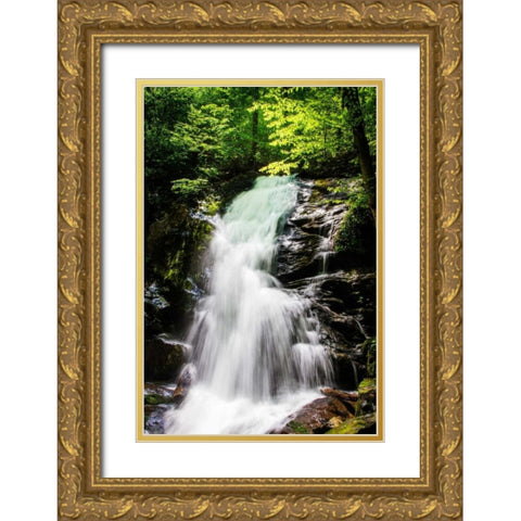 Deep Woods Waterfall II Gold Ornate Wood Framed Art Print with Double Matting by Hausenflock, Alan