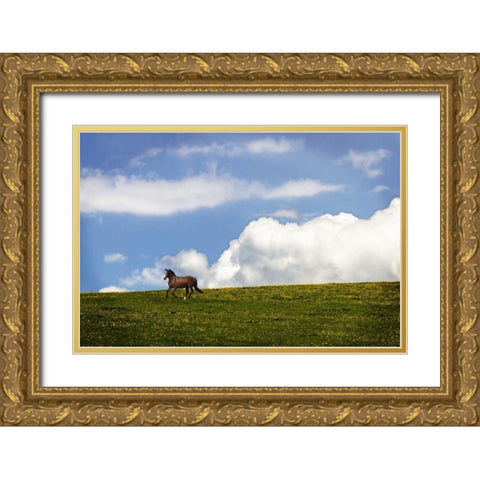 Horses in the Clouds I Gold Ornate Wood Framed Art Print with Double Matting by Hausenflock, Alan