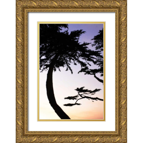 Cypress Silhouette II Gold Ornate Wood Framed Art Print with Double Matting by Hausenflock, Alan