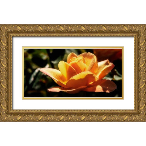 Queen of Flowers I Gold Ornate Wood Framed Art Print with Double Matting by Hausenflock, Alan