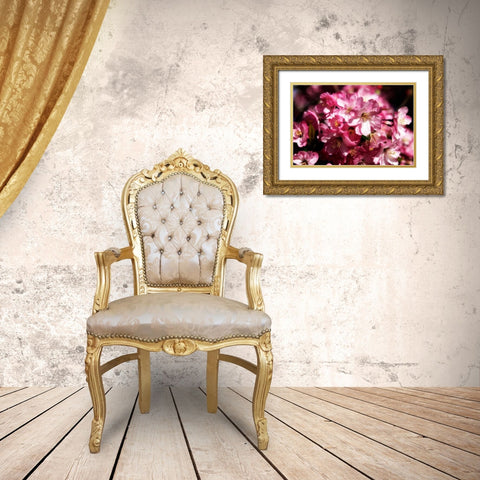 Cherry Blossoms II Gold Ornate Wood Framed Art Print with Double Matting by Hausenflock, Alan