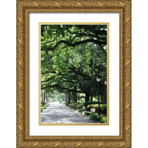 Savannah Sidewalk I Gold Ornate Wood Framed Art Print with Double Matting by Hausenflock, Alan