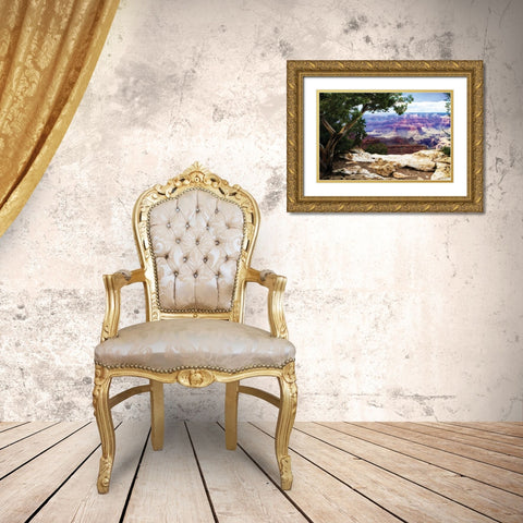 The Canyon I Gold Ornate Wood Framed Art Print with Double Matting by Hausenflock, Alan