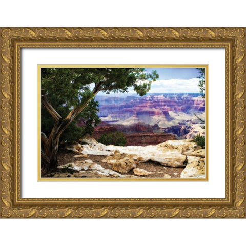 The Canyon I Gold Ornate Wood Framed Art Print with Double Matting by Hausenflock, Alan
