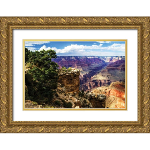 The Canyon III Gold Ornate Wood Framed Art Print with Double Matting by Hausenflock, Alan