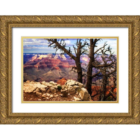The Caynon IV Gold Ornate Wood Framed Art Print with Double Matting by Hausenflock, Alan