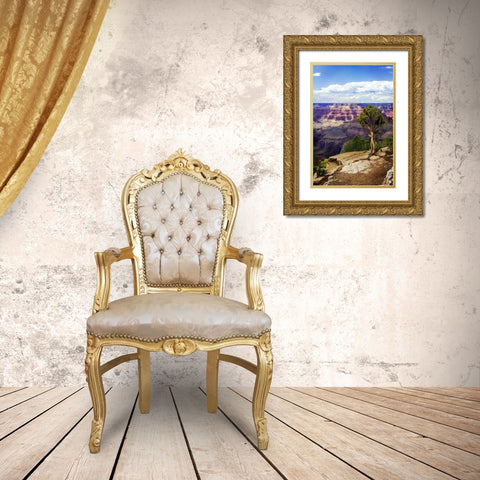 The Canyon Rim I Gold Ornate Wood Framed Art Print with Double Matting by Hausenflock, Alan