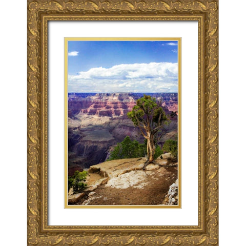 The Canyon Rim I Gold Ornate Wood Framed Art Print with Double Matting by Hausenflock, Alan
